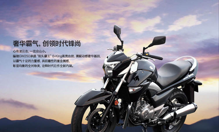 GSR250（GJ55D）-since 2012- - バイクの系譜