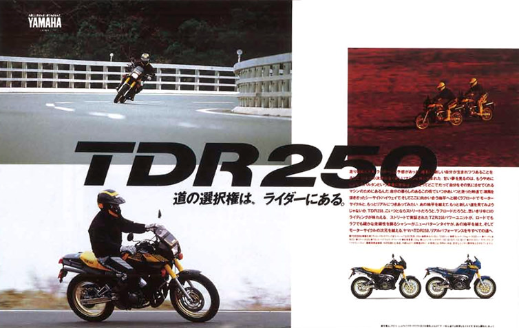 TDR250/2YK